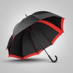 black umbrella with red interior lining image